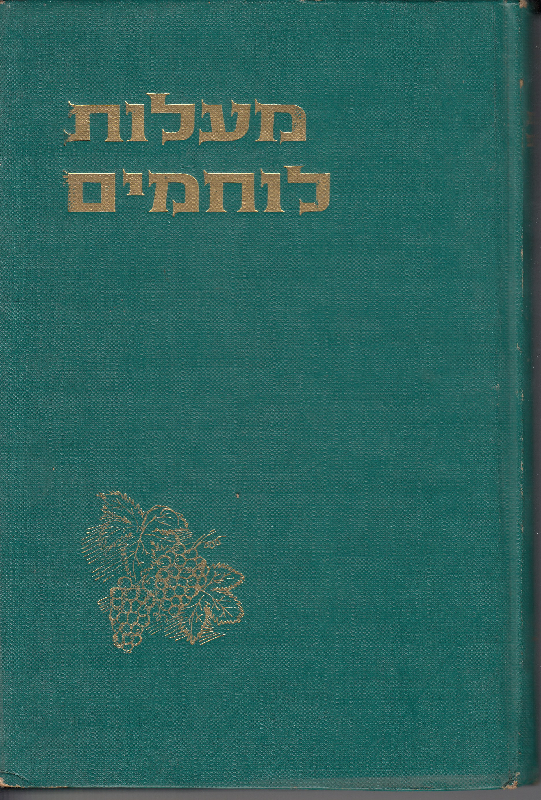 מעלות לוחמים